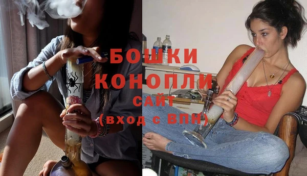 дурь Бородино
