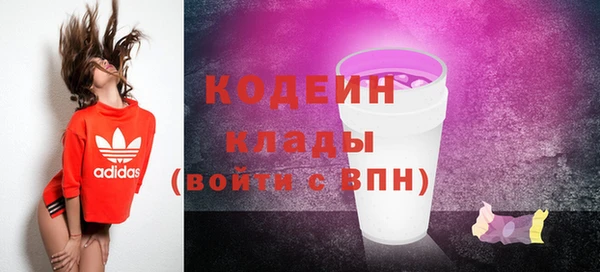 молекула духа Бронницы