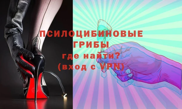 ешки Богородицк